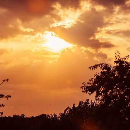 Mooiste Plek Heuvelland In Zuid-limburg-de Wijngaard