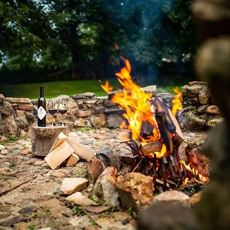 Mooiste Plek Heuvelland In Zuid-limburg-de Wijngaard Appartement *