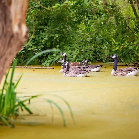 Mooiste Plek Heuvelland In Zuid-limburg-de Wijngaard Appartement