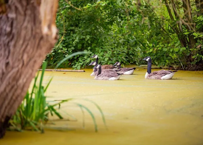 Mooiste Plek Heuvelland In Zuid-limburg-de Wijngaard 아파트