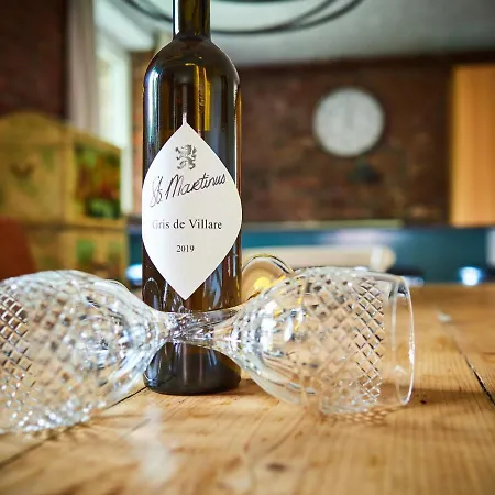 Apartamento Mooiste Plek Heuvelland In Zuid-limburg-de Wijngaard *