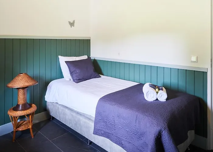 Mooiste Plek Heuvelland In Zuid-limburg-de Wijngaard